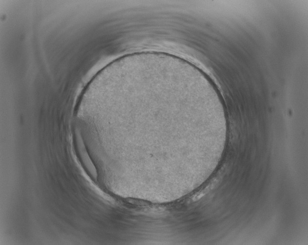 X0000067471525200605051634