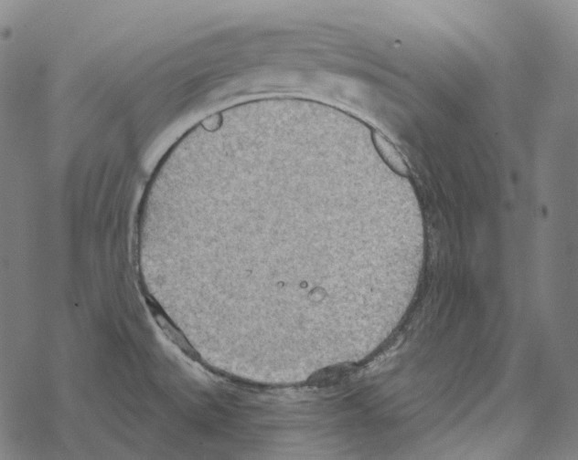 X0000067471527200605051634