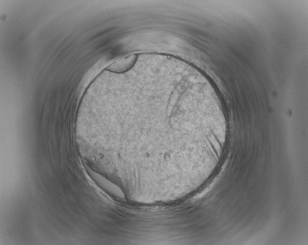 X0000067471529200605051634