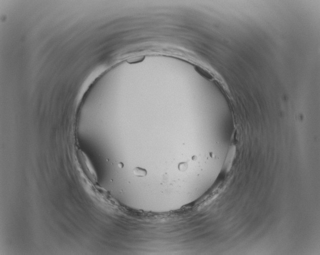 X0000067471530200605051634