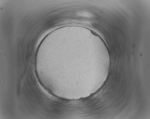 X0000067471531200605051634