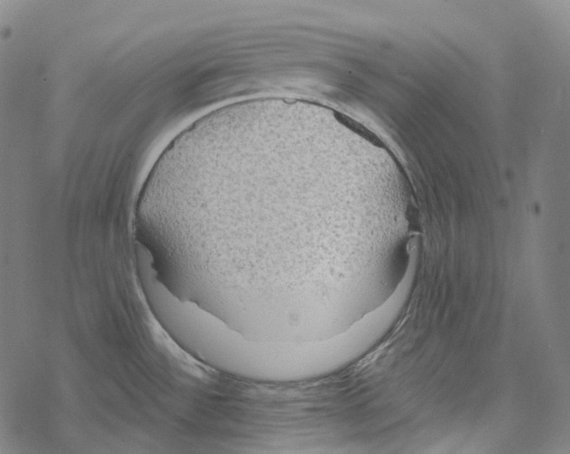 X0000067471532200605051634