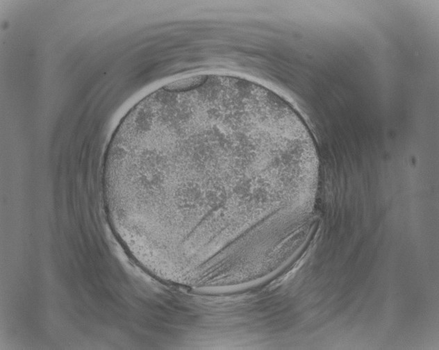 X0000067471534200605051634