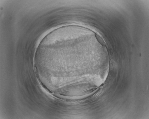 X0000067471535200605051634