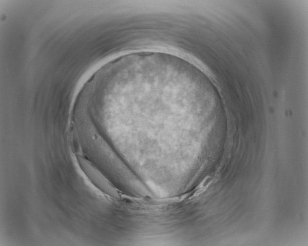 X0000067471536200605051634