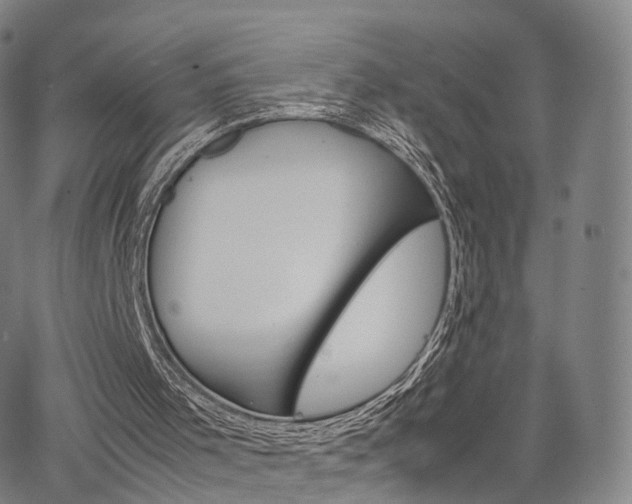 X0000067480001200604070939