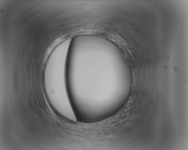 X0000067480003200604070939