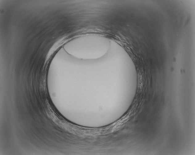 X0000067480004200604070939