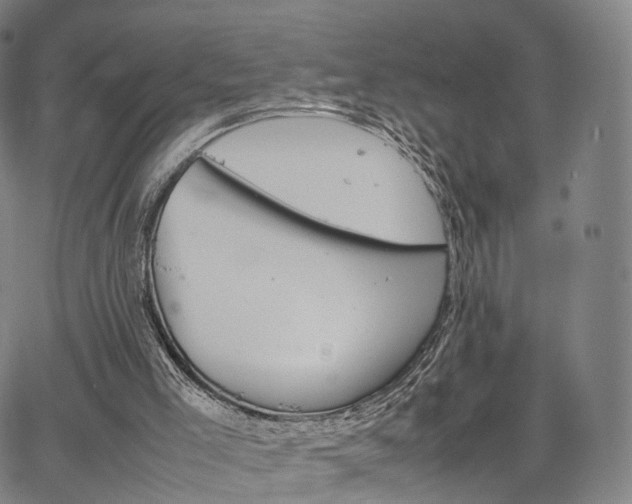 X0000067480005200604070939