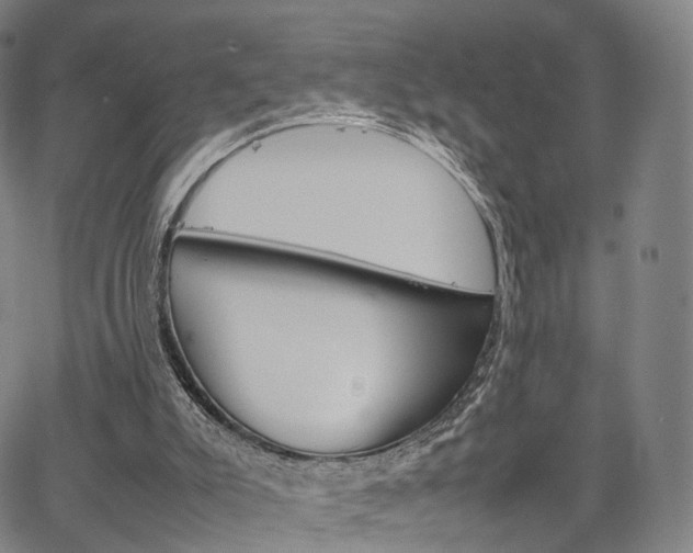 X0000067480007200604070939