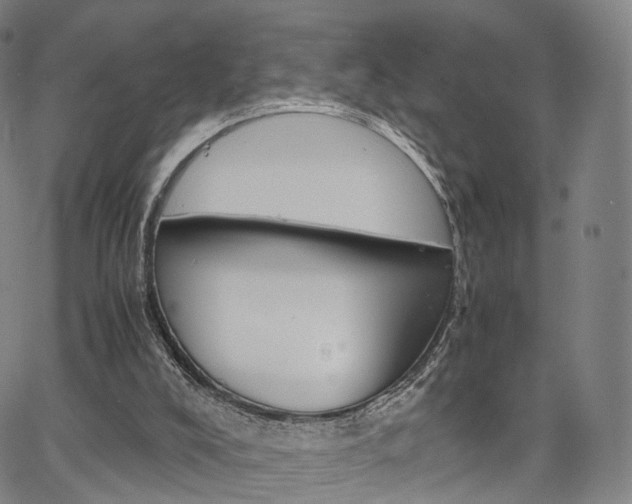 X0000067480008200604070939