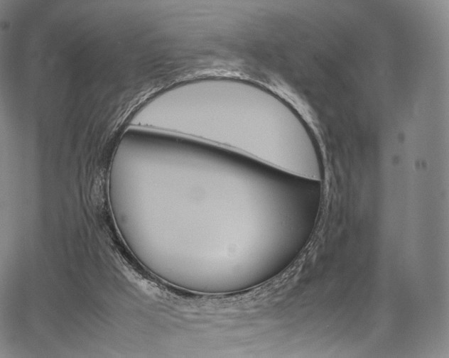 X0000067480009200604070939