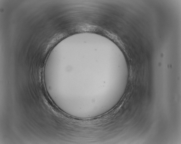 X0000067480010200604070939