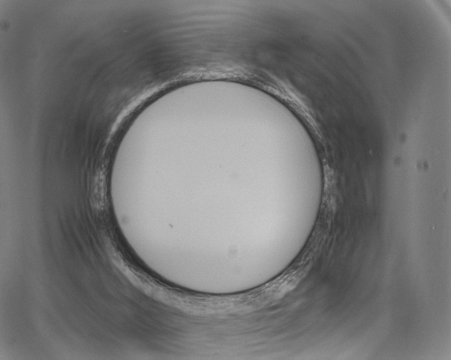 X0000067480012200604070939