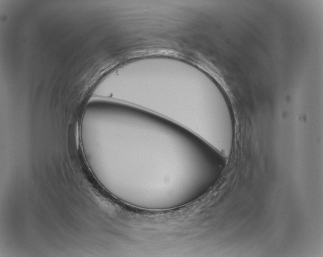 X0000067480013200604070939