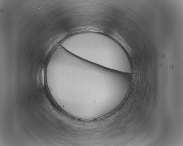 X0000067480014200604070939