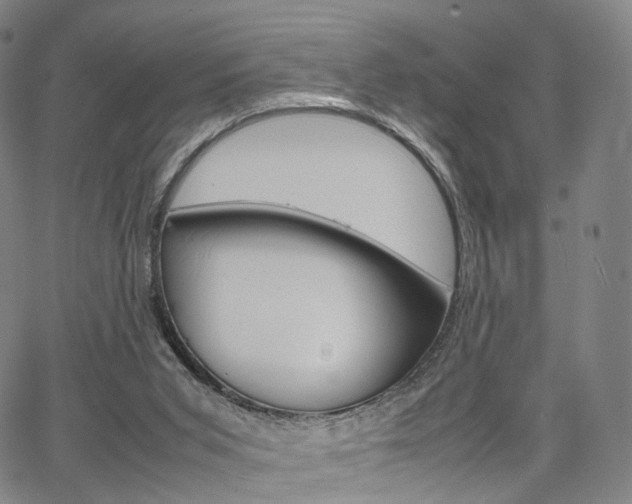 X0000067480015200604070939