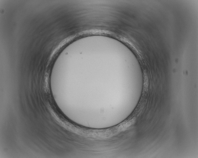 X0000067480016200604070939