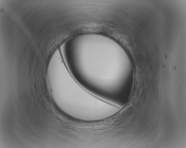 X0000067480017200604070939