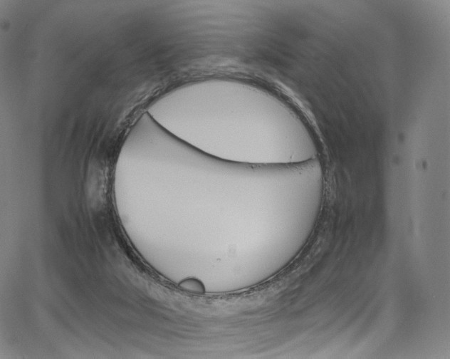 X0000067480018200604070939