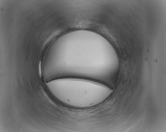 X0000067480020200604070939