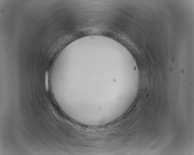 X0000067480022200604070939