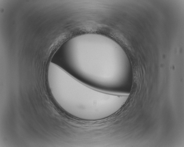 X0000067480023200604070939