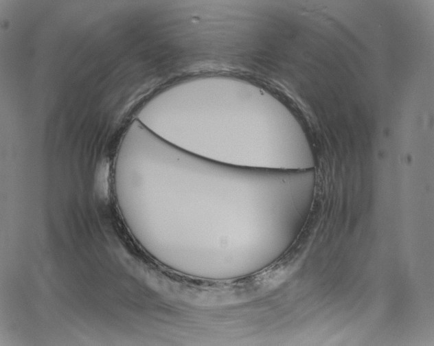 X0000067480024200604070939