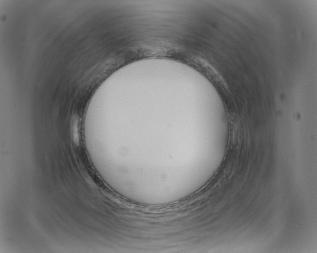 X0000067480026200604070939