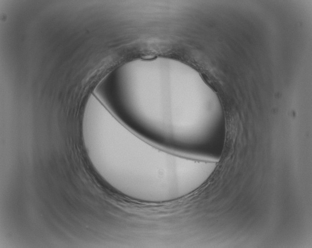 X0000067480027200604070939