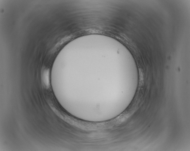 X0000067480028200604070939