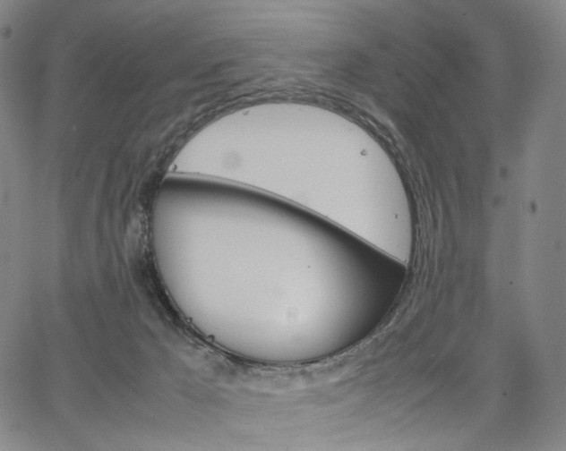 X0000067480029200604070939