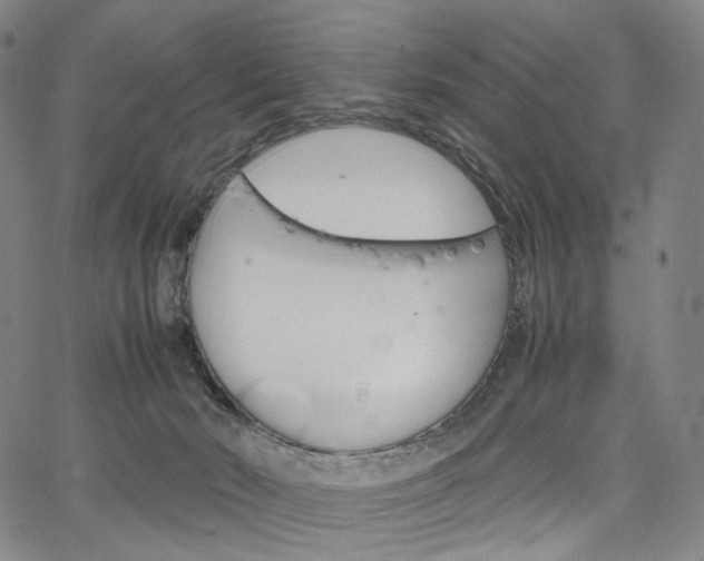 X0000067480030200604070939