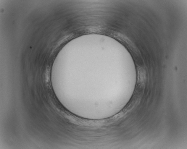 X0000067480032200604070939