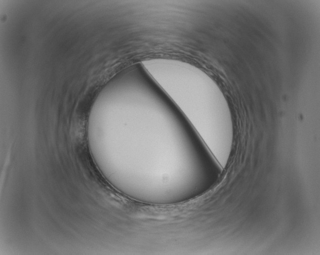 X0000067480033200604070939