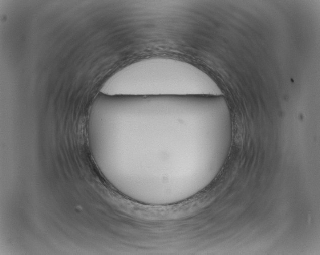 X0000067480034200604070939