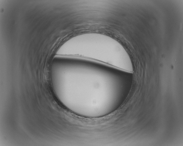 X0000067480035200604070939