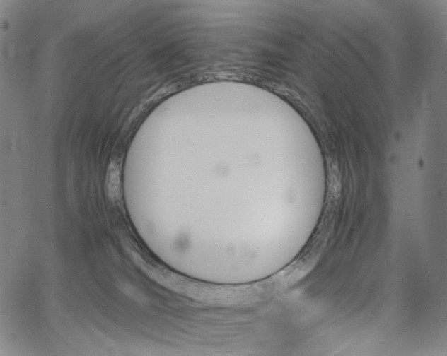 X0000067480036200604070939