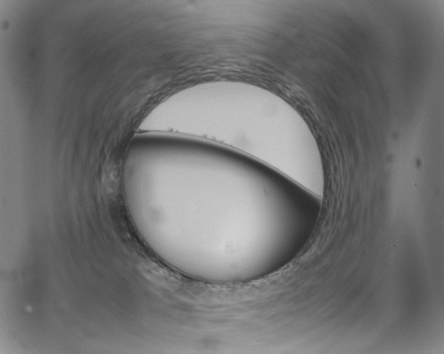 X0000067480037200604070939