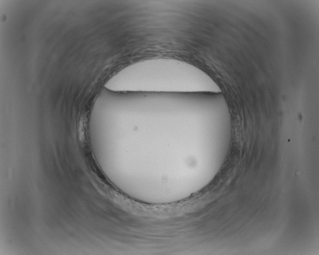 X0000067480038200604070939