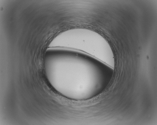 X0000067480039200604070939