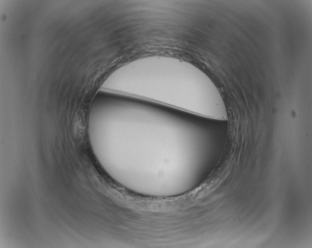 X0000067480040200604070939