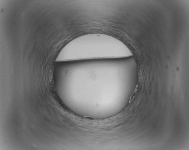 X0000067480043200604070939