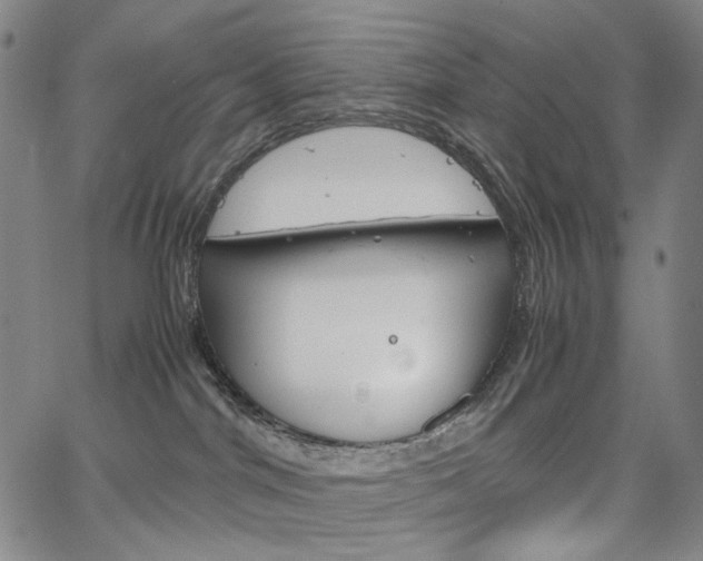 X0000067480044200604070939