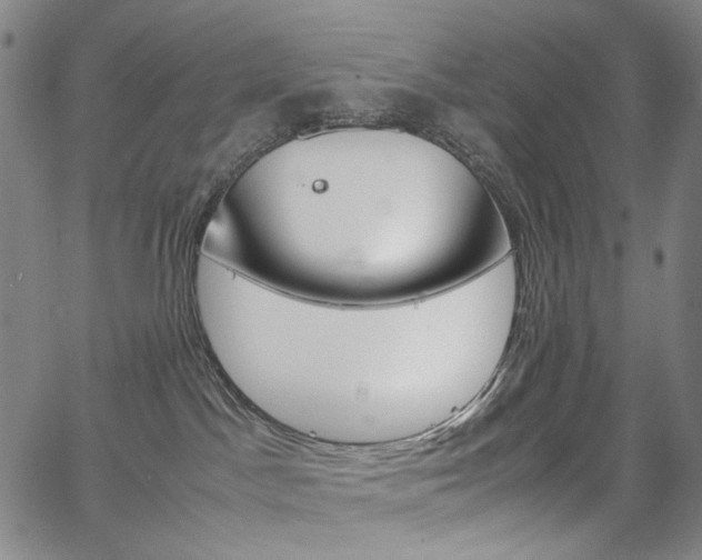 X0000067480045200604070939