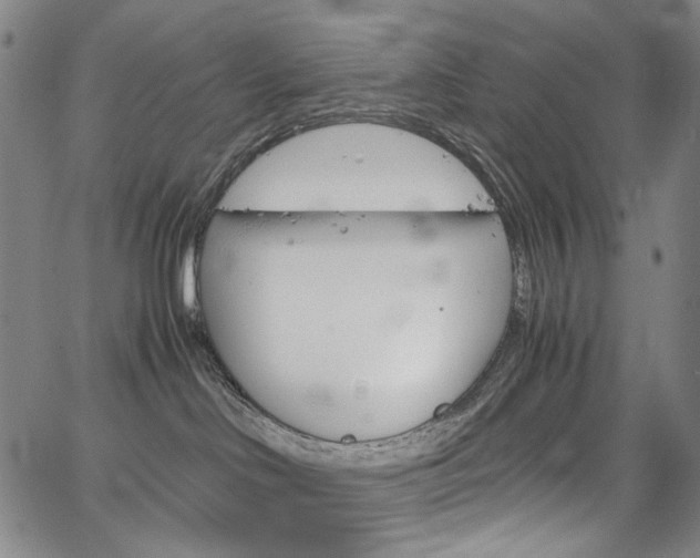 X0000067480046200604070939