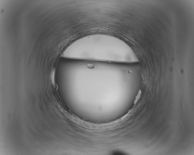 X0000067480047200604070938