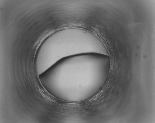 X0000067480050200604070938