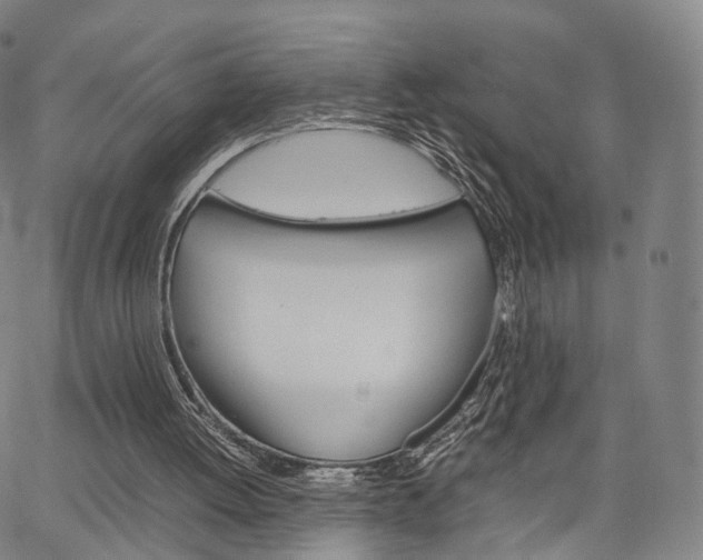 X0000067480052200604070938