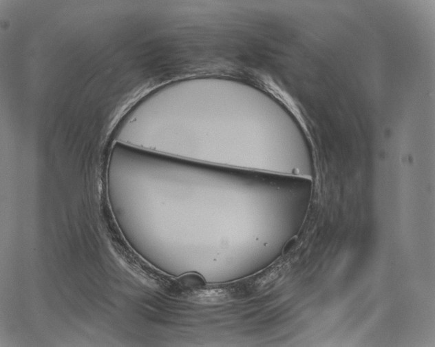 X0000067480059200604070938